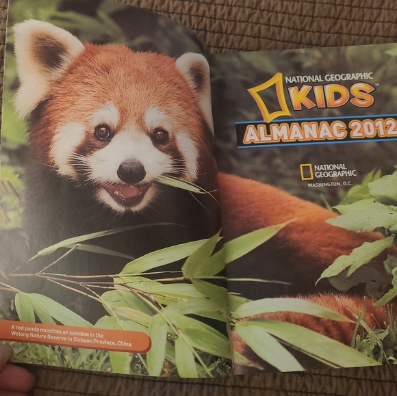 Young Adult Books - Picture 6 of 10